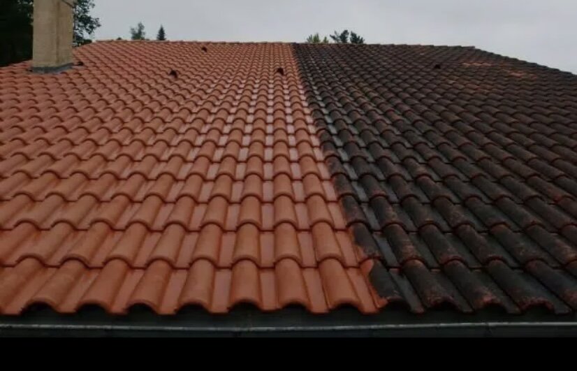 Démoussage de Toiture Professionnel